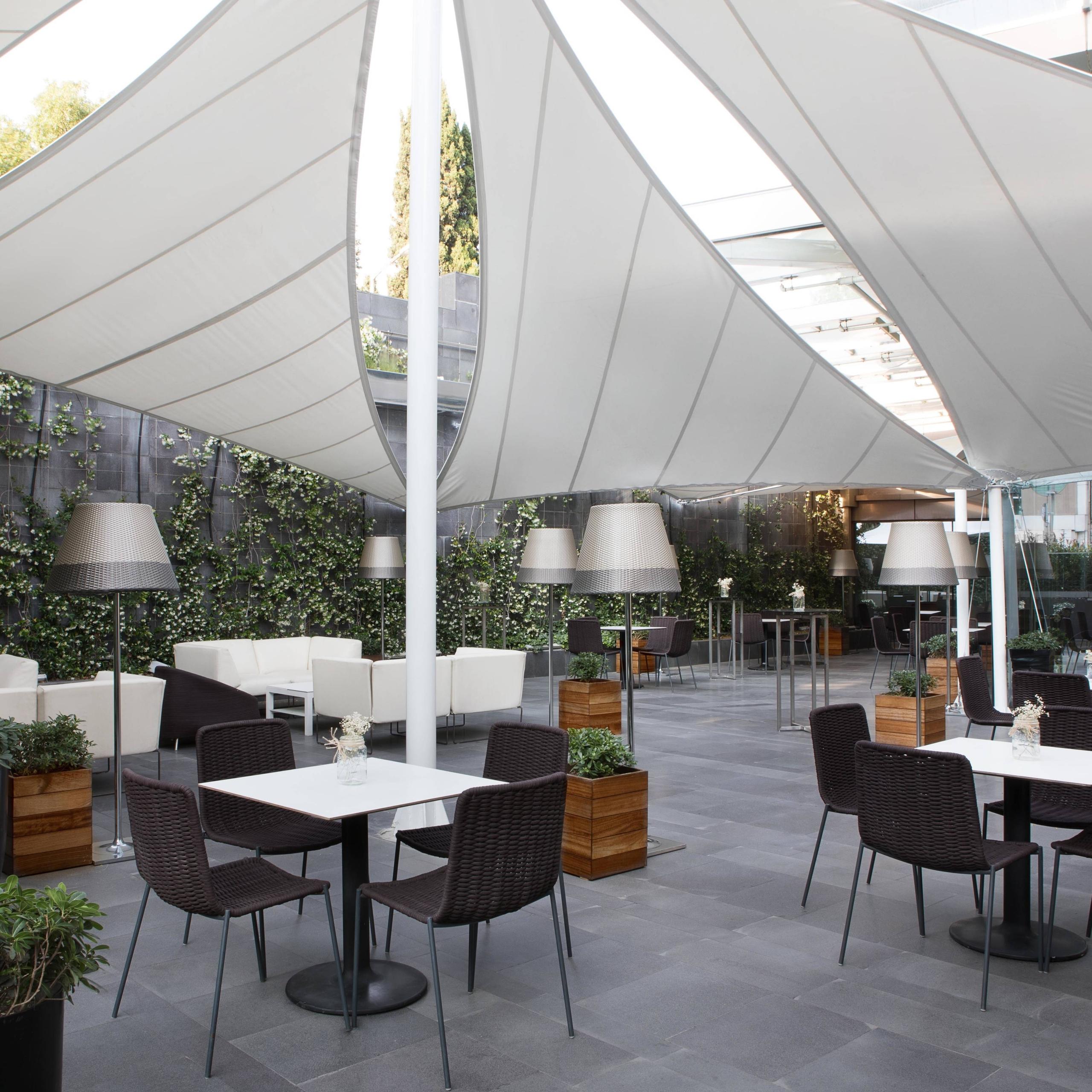 The Dish Room Terrace