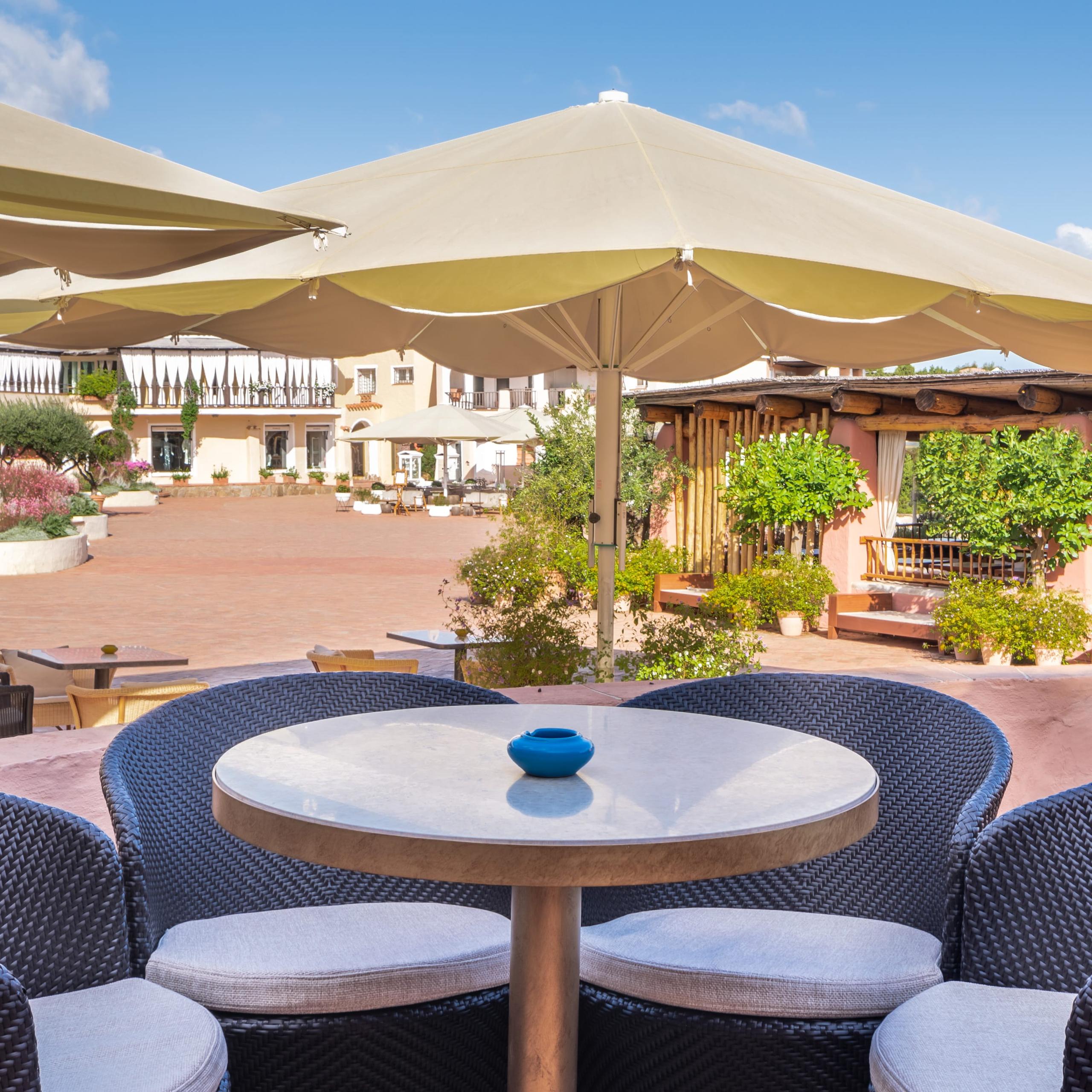 Cervo Bar