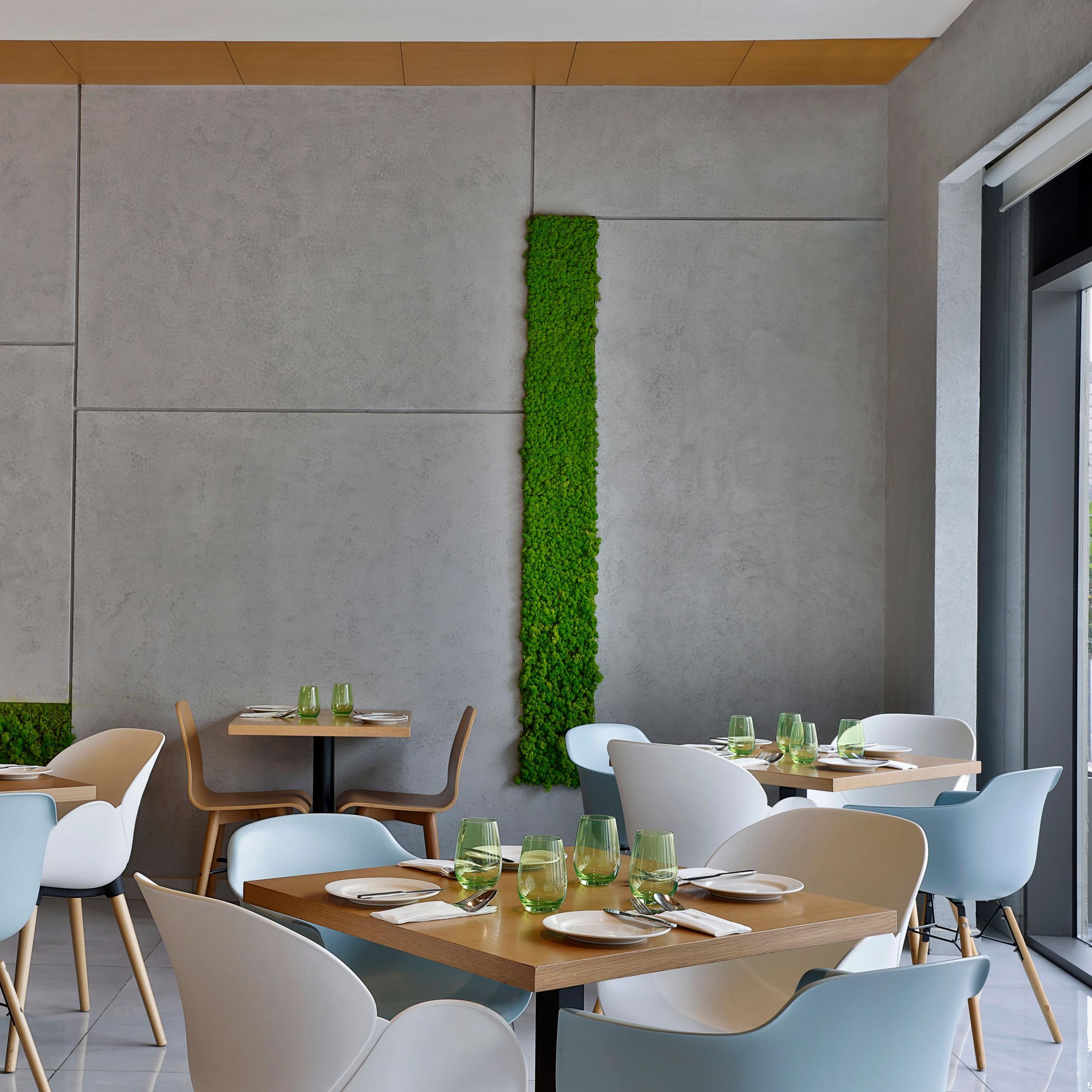 Café 26