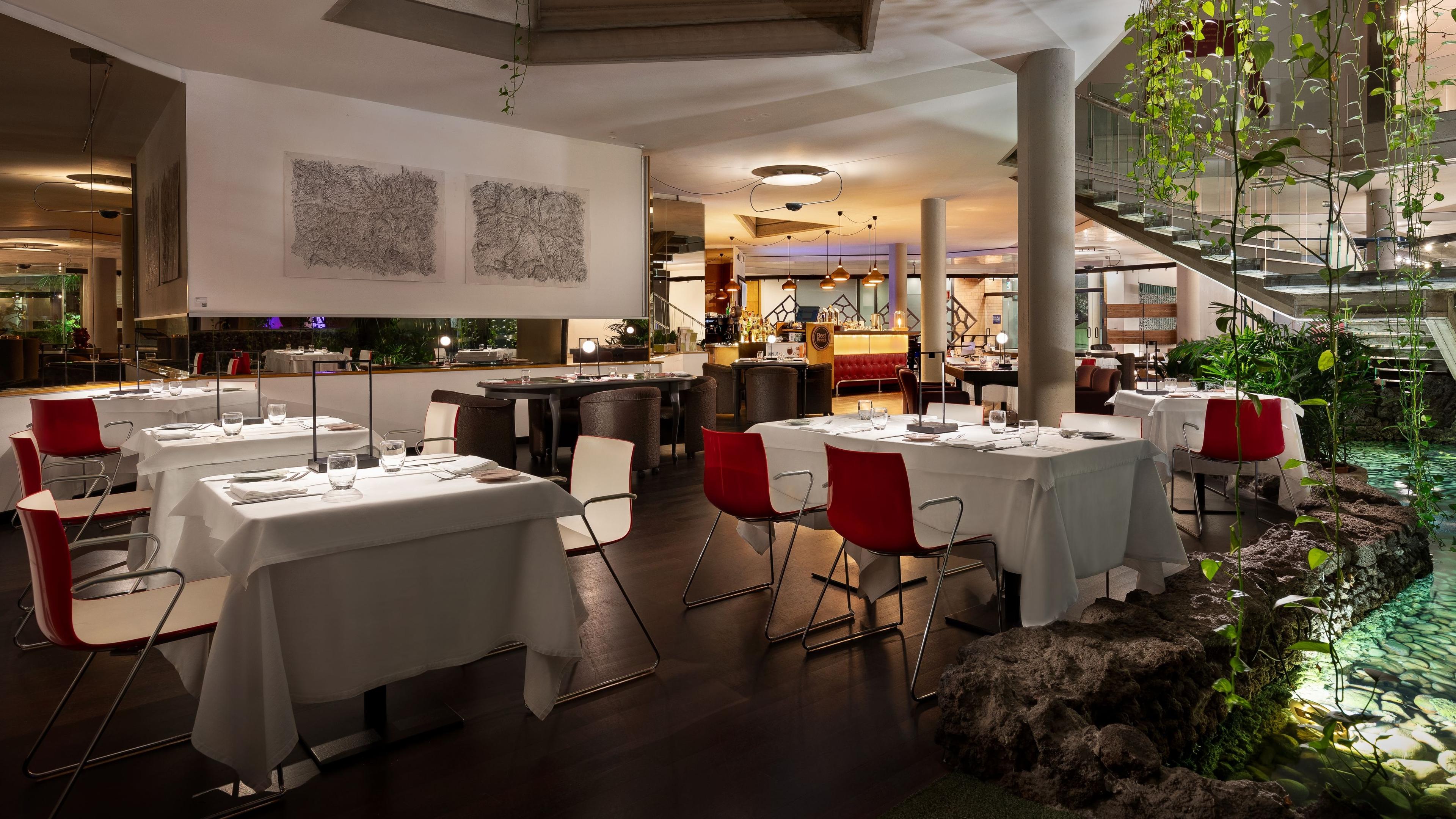 Il Timo Bistrot logo
