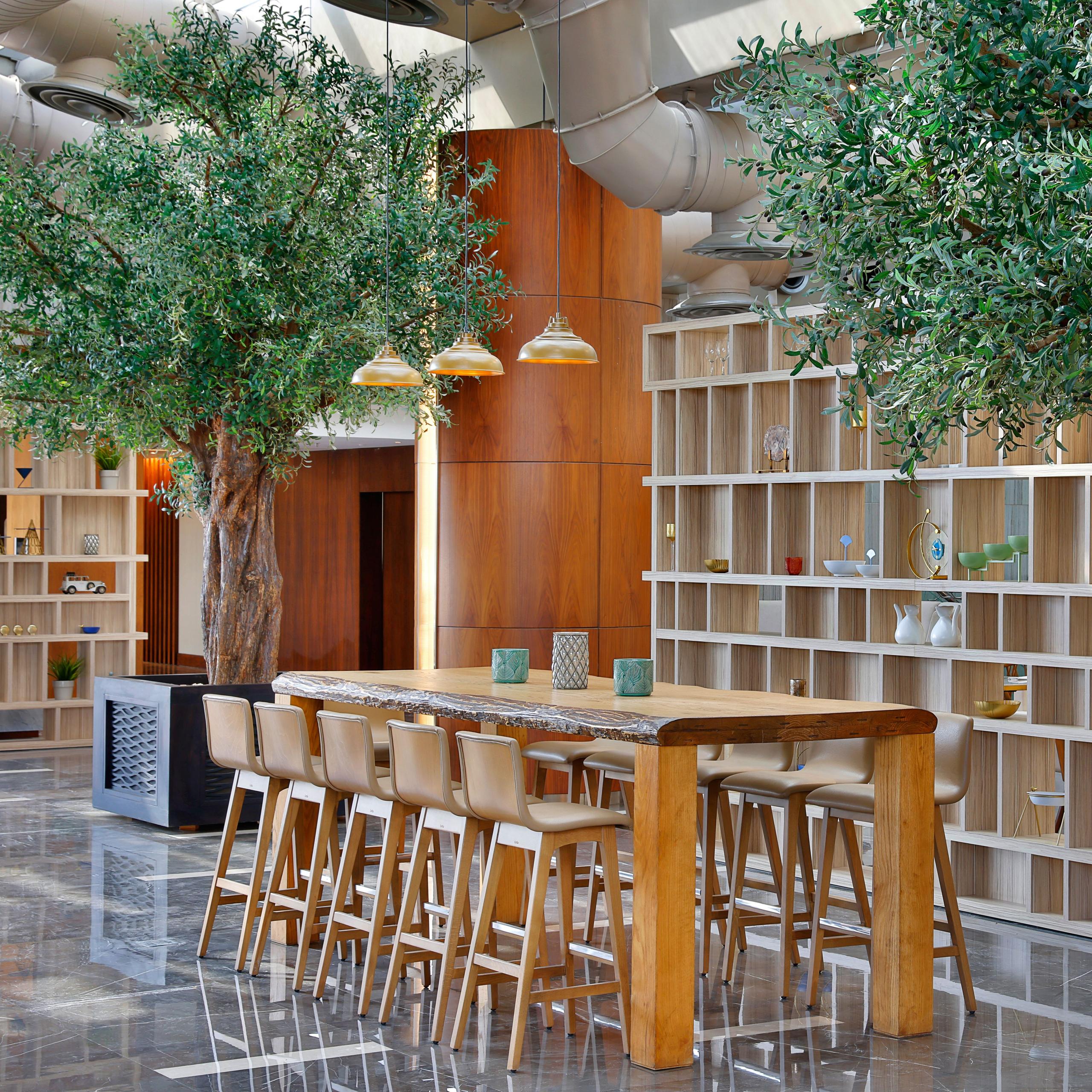 Olive Tree