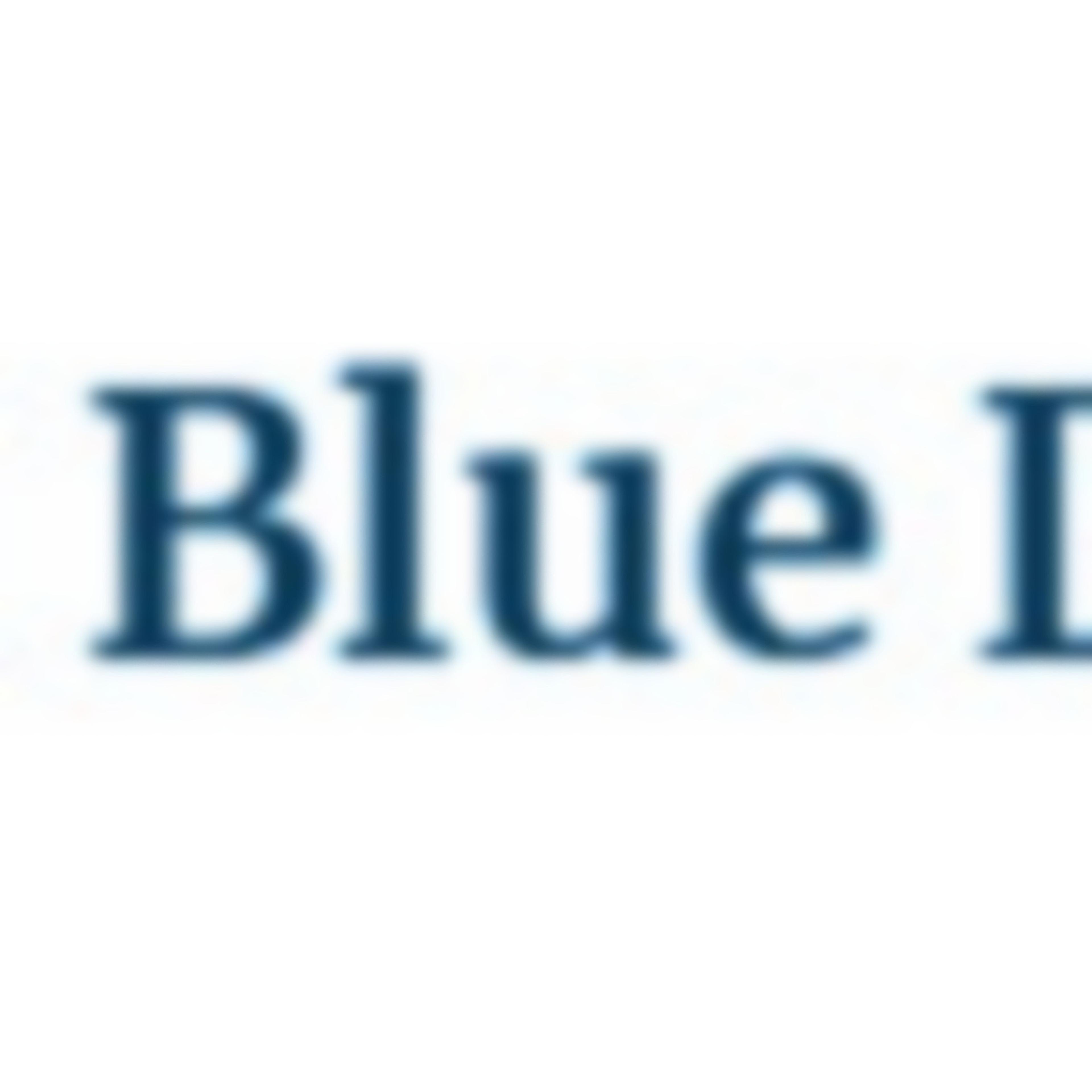 Bleu Lounge logo