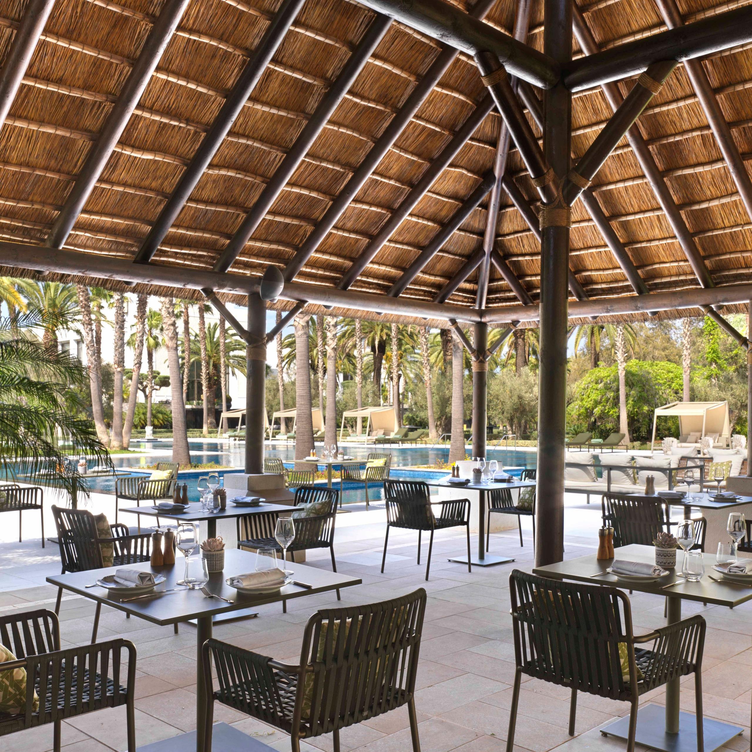 Palapa