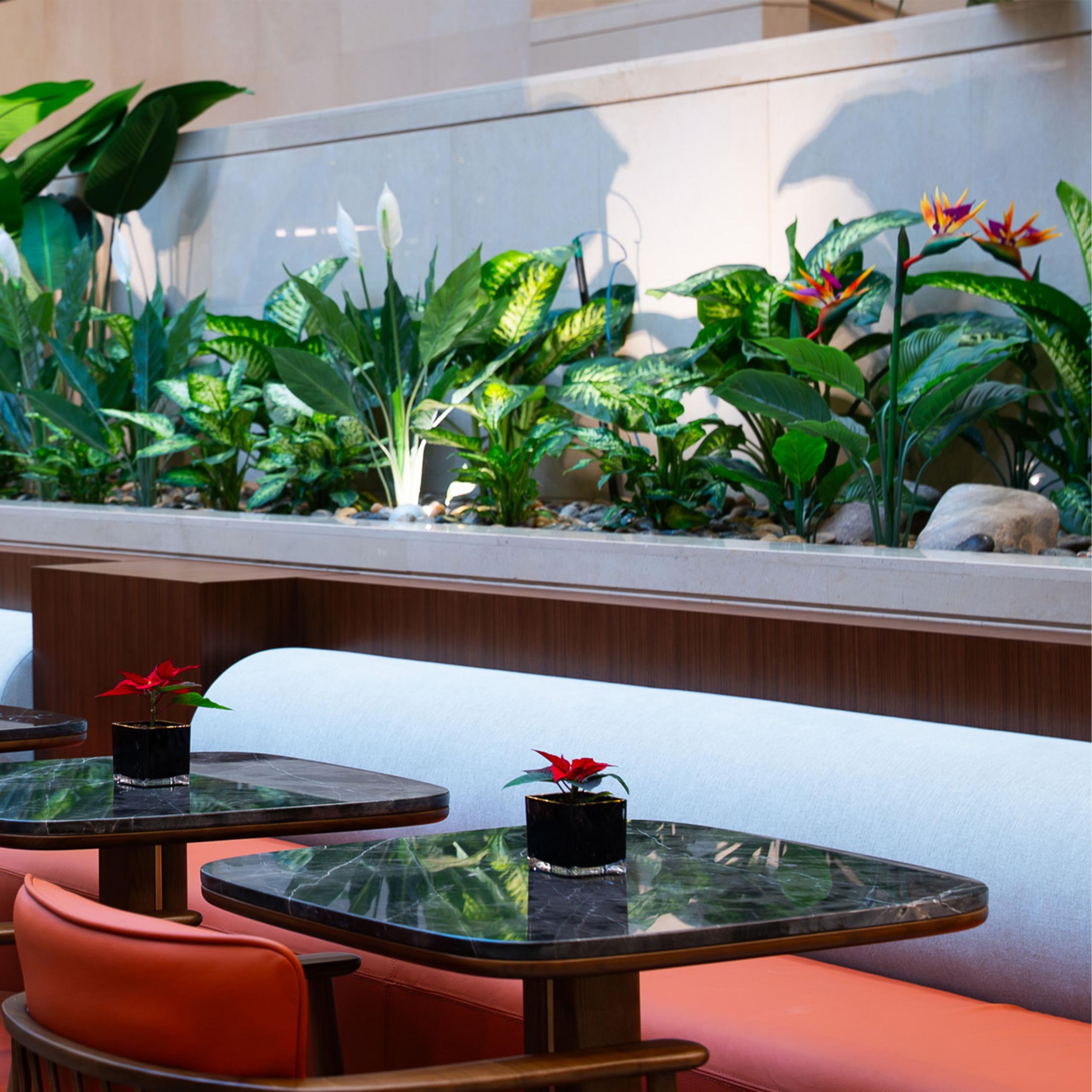 The Green Lounge