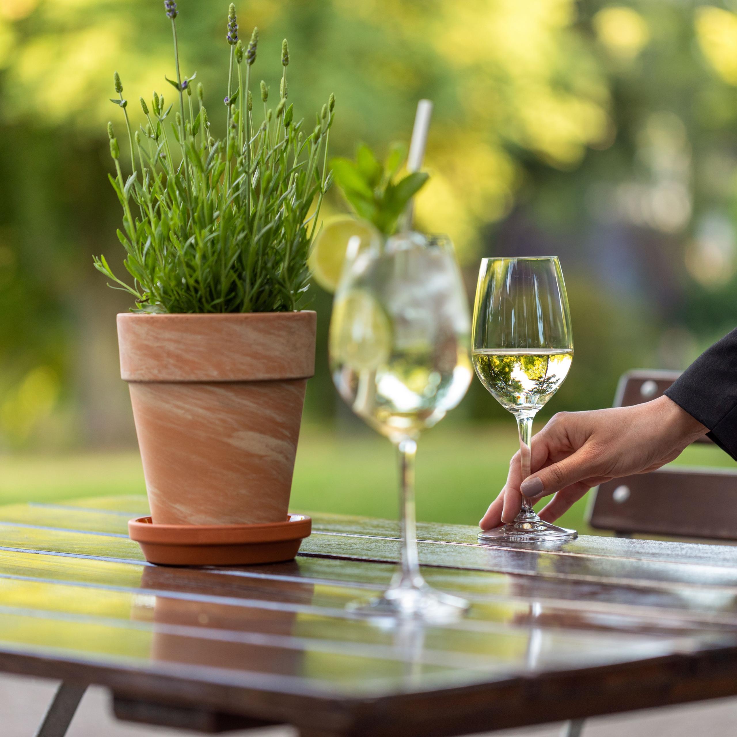 Park Terrasse