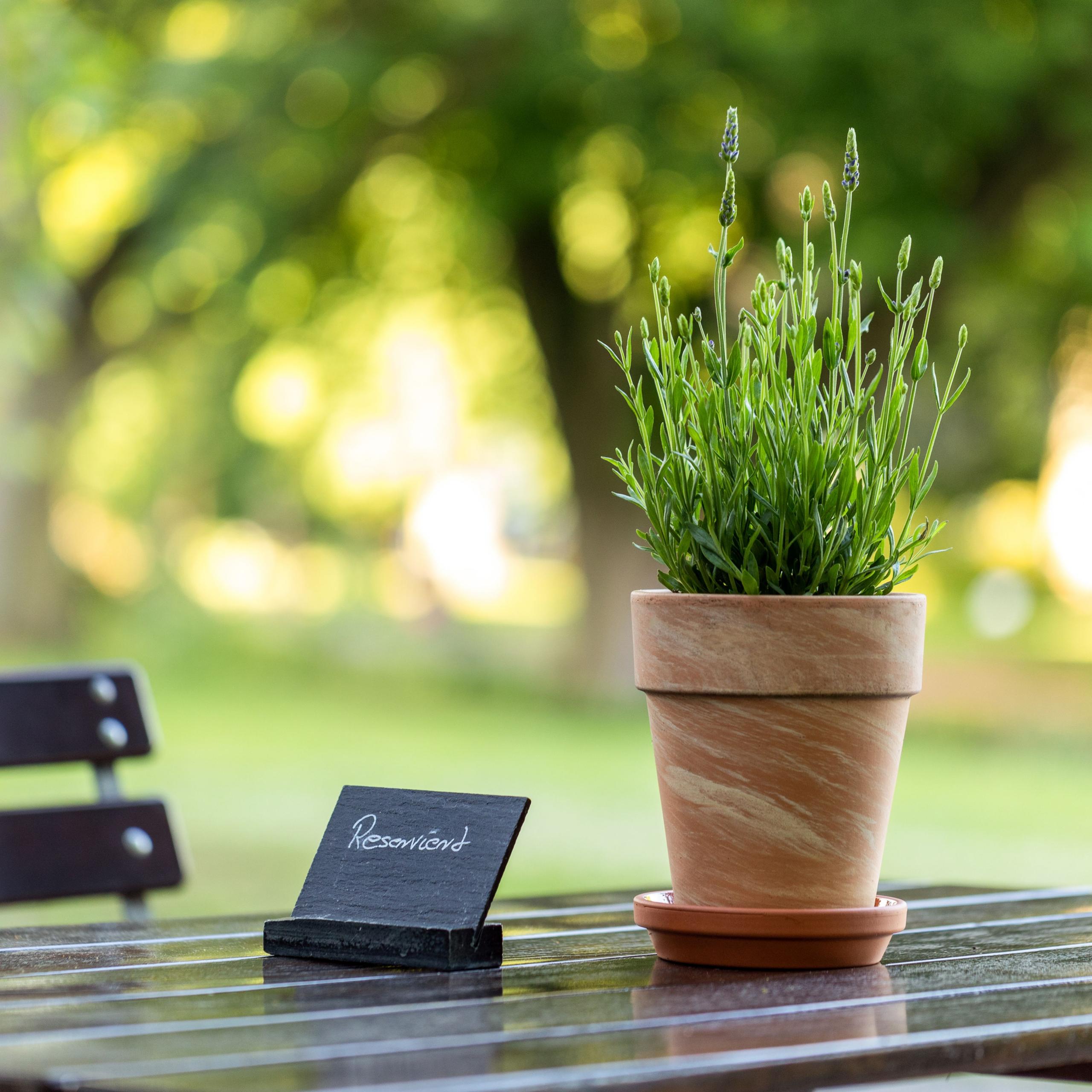 Park Terrasse