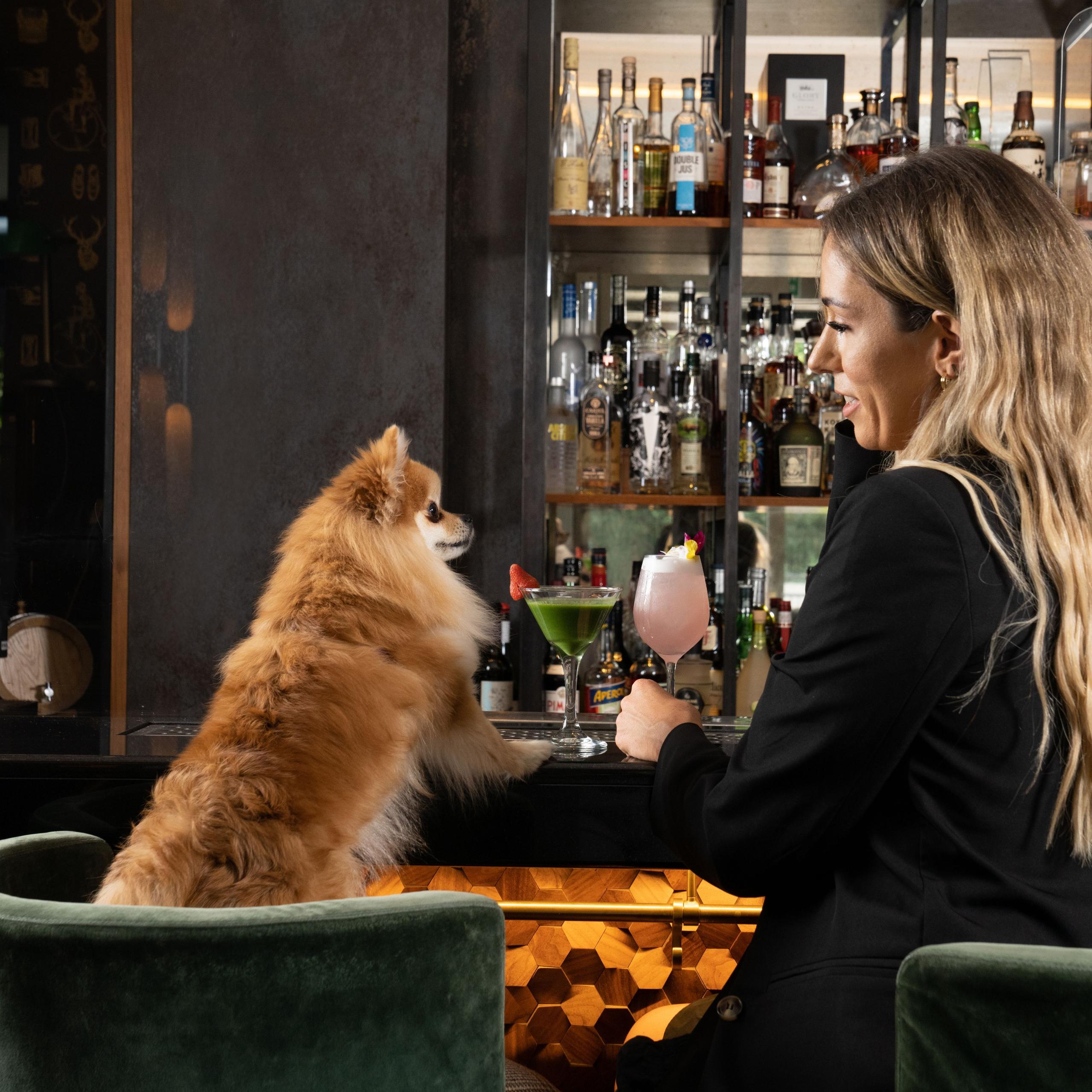 Smith & Whistle Bar & Terrace
