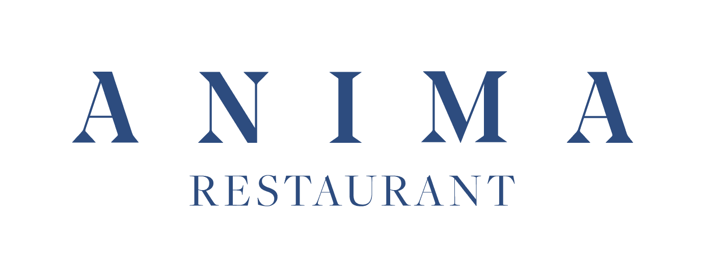 Anima logo